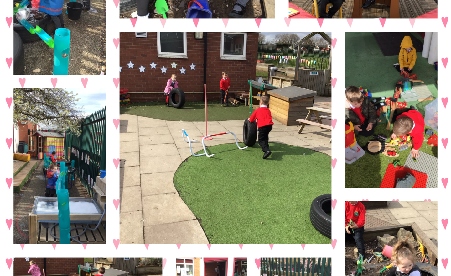 Image of Spring has well and truly sprung at Eastfield Nursery!