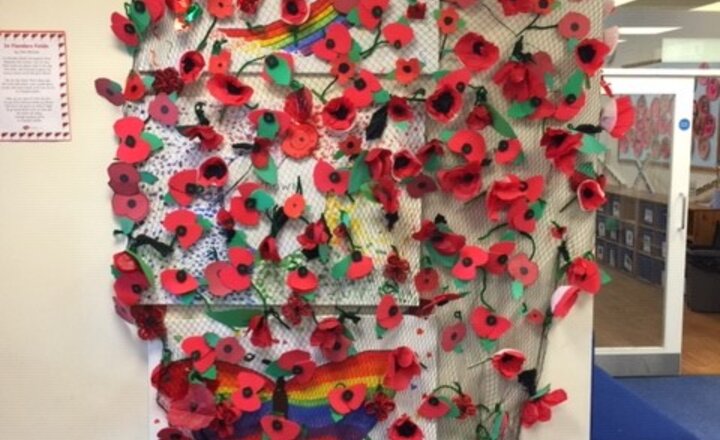 Image of Our Poppies made for Remembrance Day 