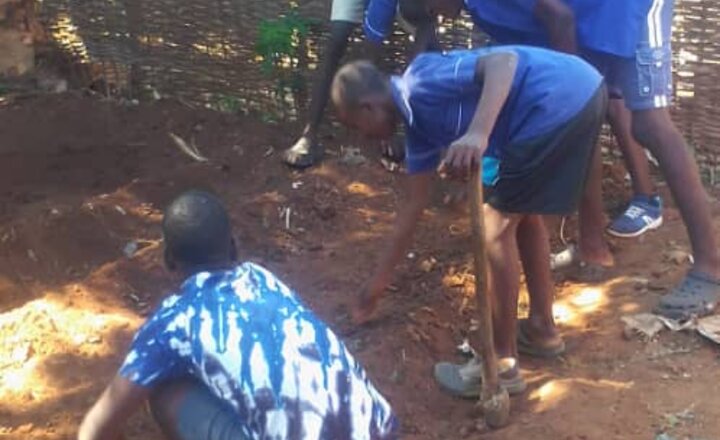 Image of Planting Sunflowers with our Link School in Malawi