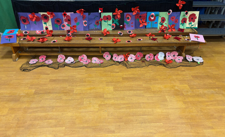 Image of Learning about Respect and the Importance of Remembrance Day