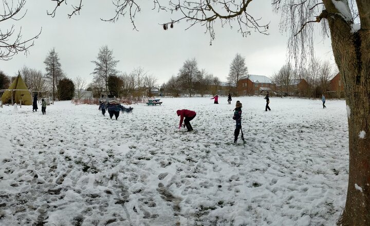 Image of Fun in the Snow!