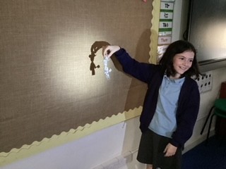 Image of Learning How Light Travels (Year 5)