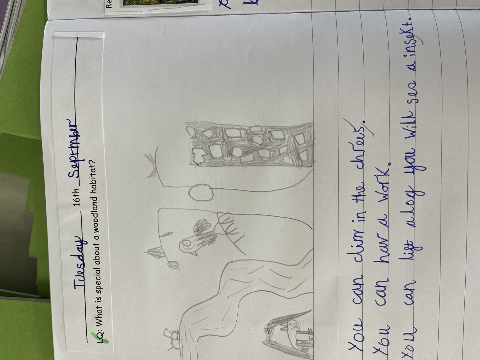 Image of Habitats and Living Things (Year 2)