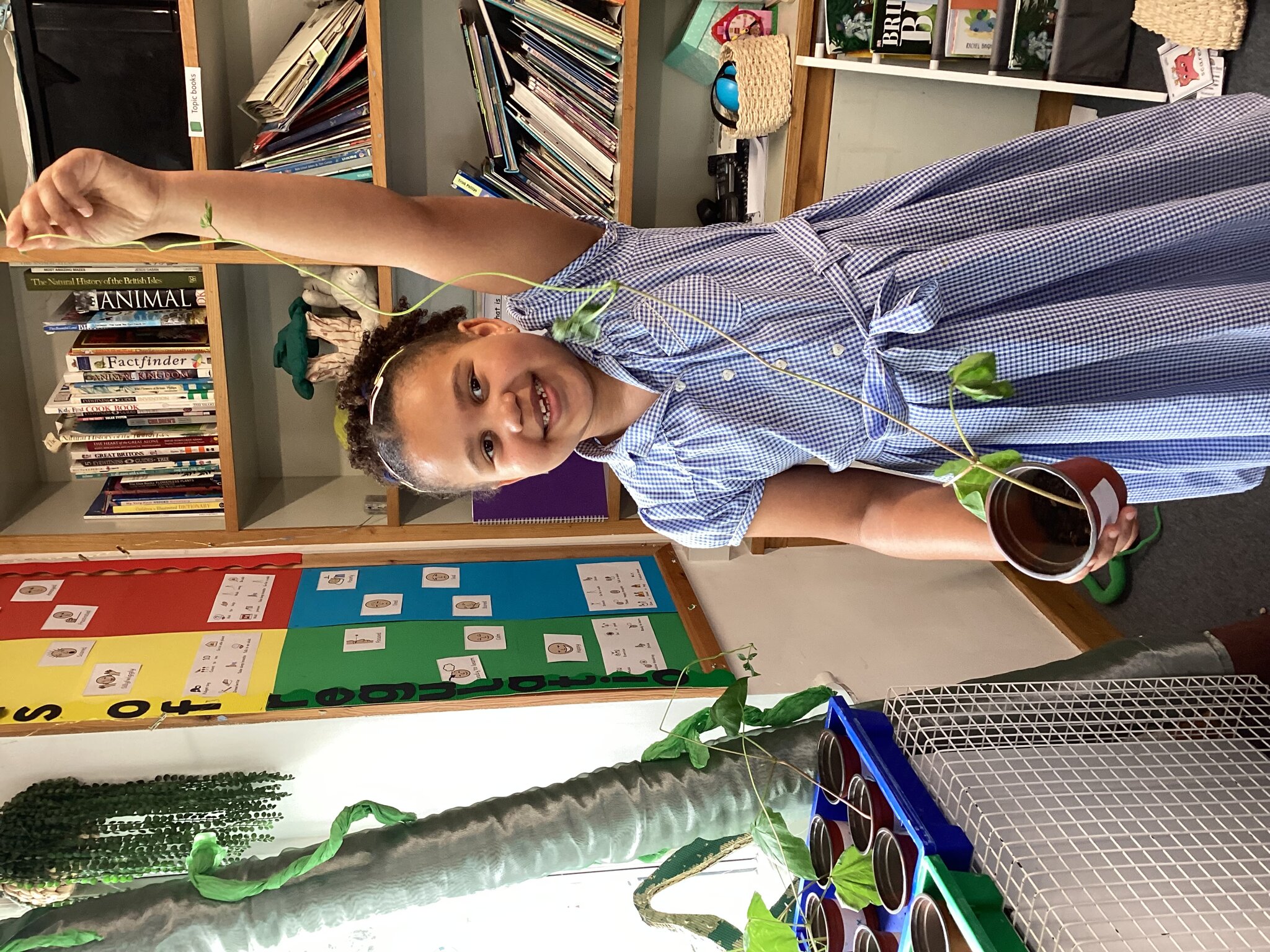 Image of Our Big Question: 'Why do we need plants?' (Year 1)