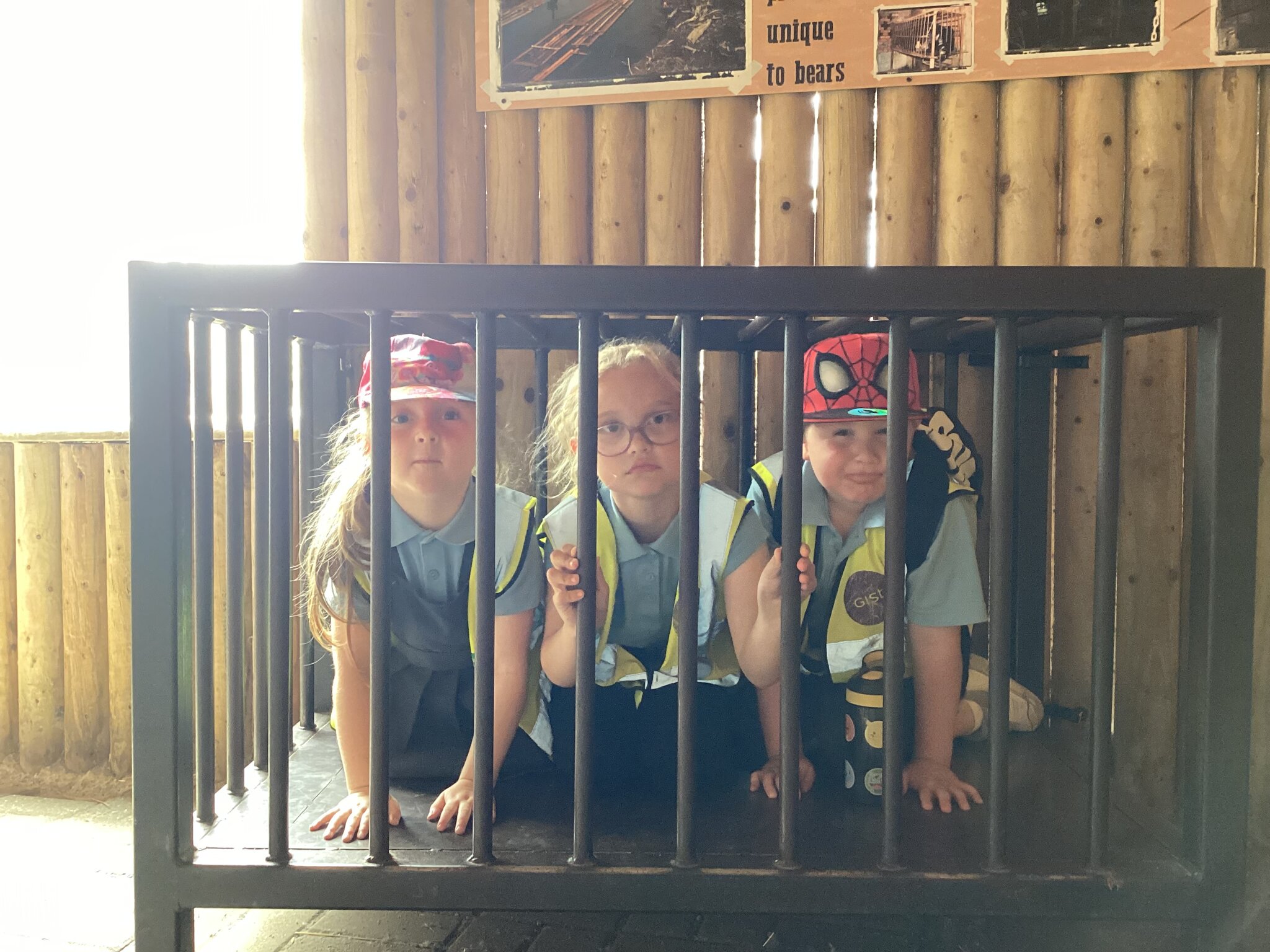 Image of Wingham Wildlife Park (Year 1)