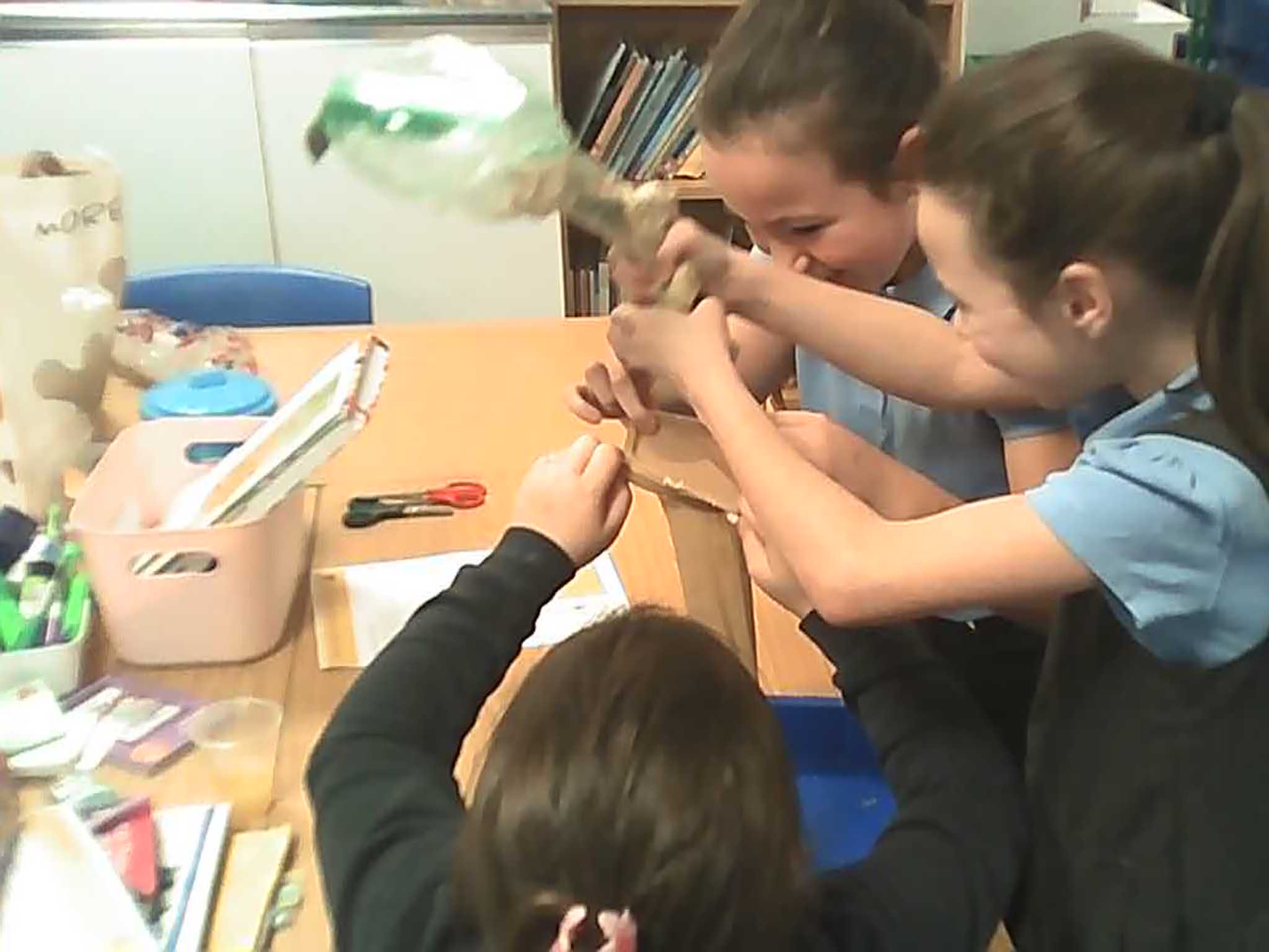 Image of Learning About the Digestive System (Year 4)