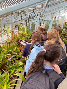 Image of Learning about Charles Darwin (Year 6)