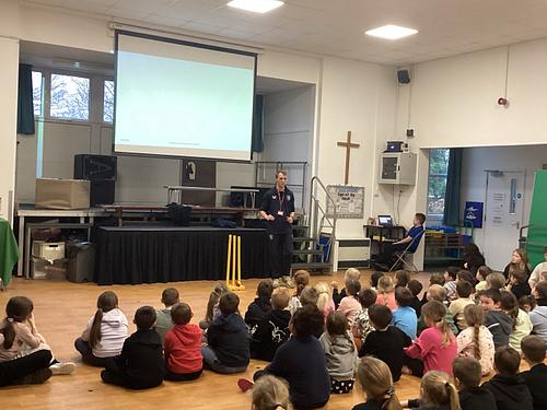 Image of Cricket Lessons for Year 3 to 6 with Cricket Coach