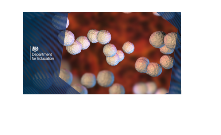 Image of Strep A - Factsheet 