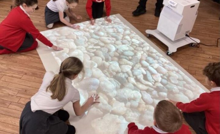 Image of Mindfulness workshop