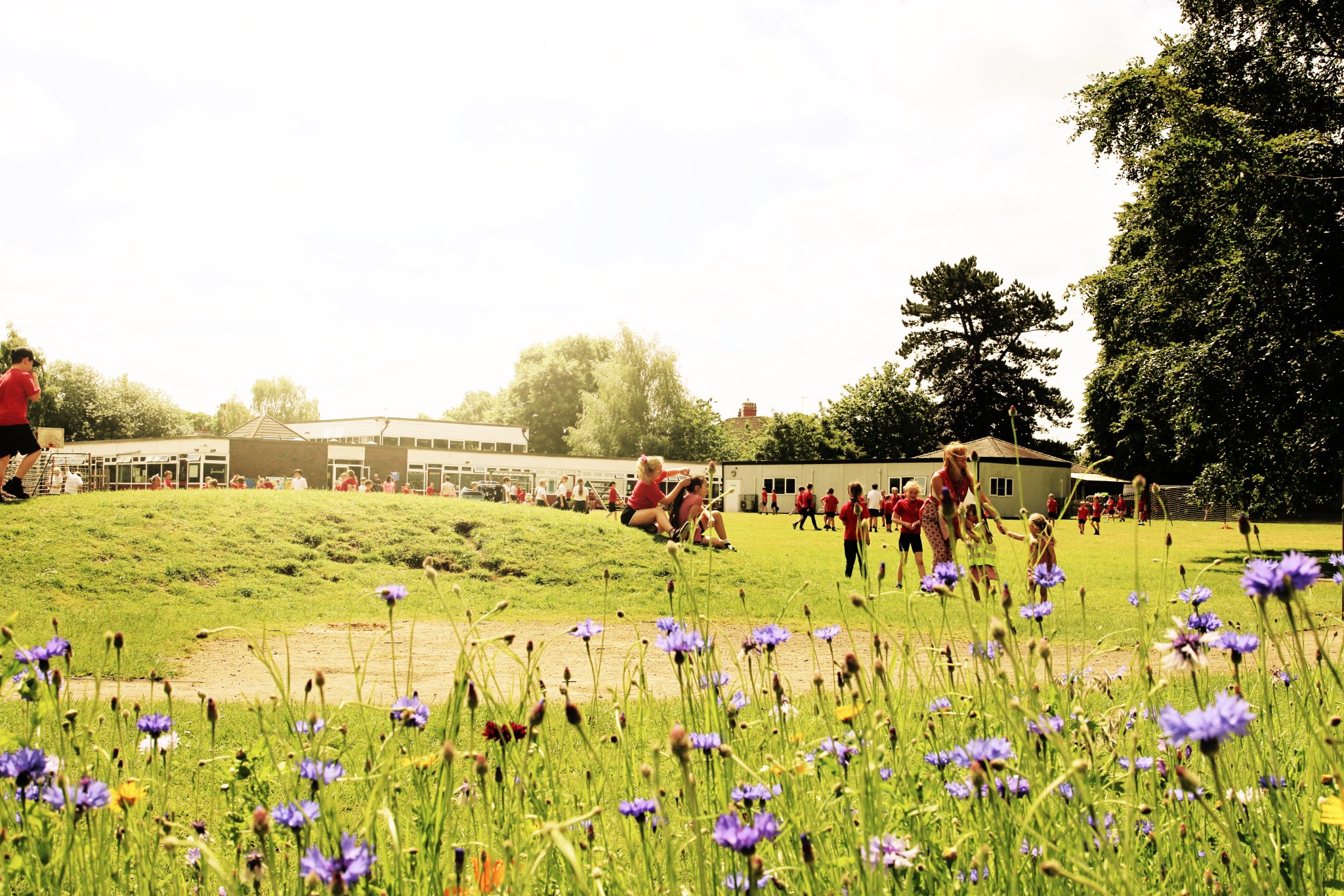 Image of Open days