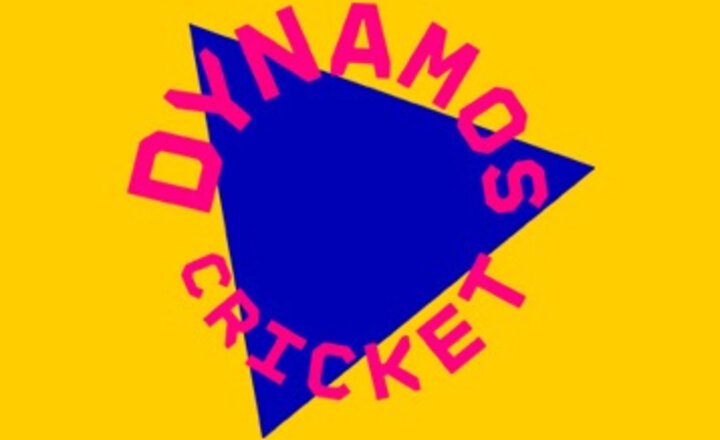 Image of Year 1/2 Dynamos Cricket