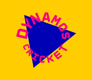 Image of Year 5/6 Dynamos Cricket