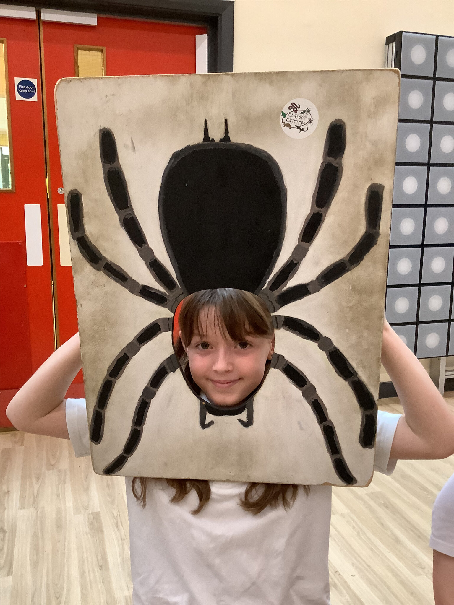Image of Curious Critters 