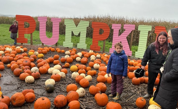 Image of Elm Tree's Pumpkin Picking Trips