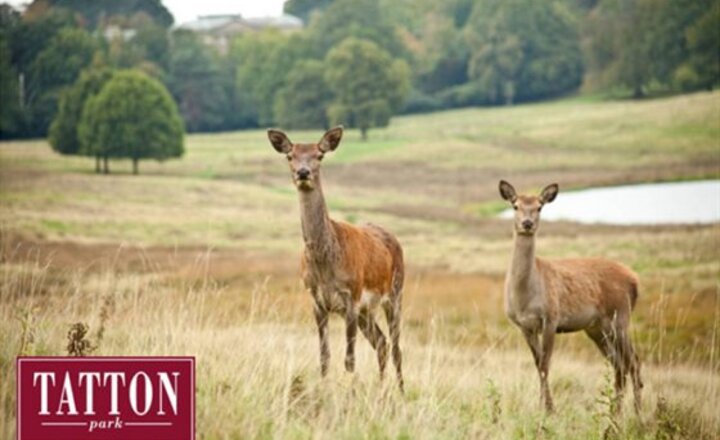 Image of LKS2 Trip—Tatton Park