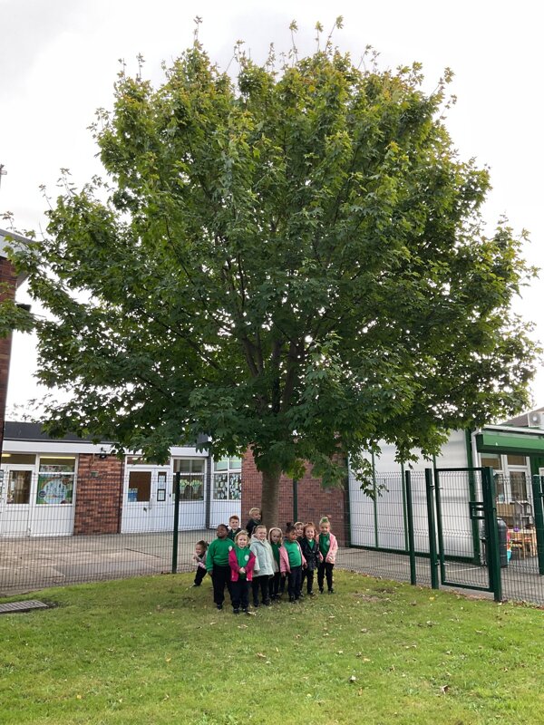 Image of Morning Nursery Visits