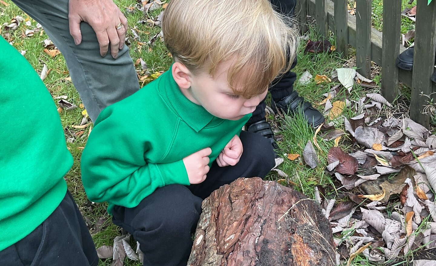 Image of Nursery A Settling In