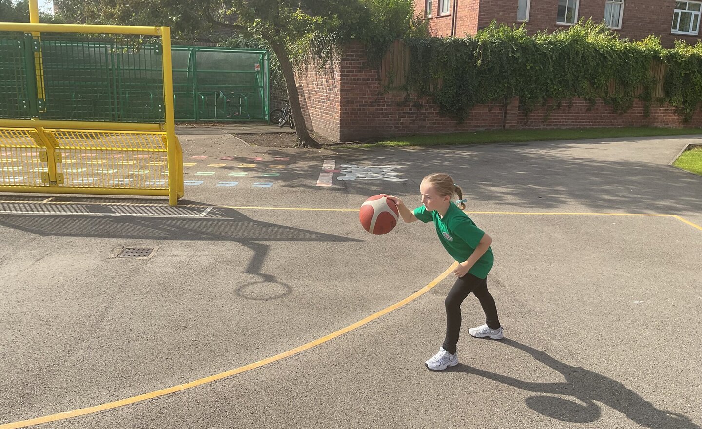 Image of Basketball in the sunshine