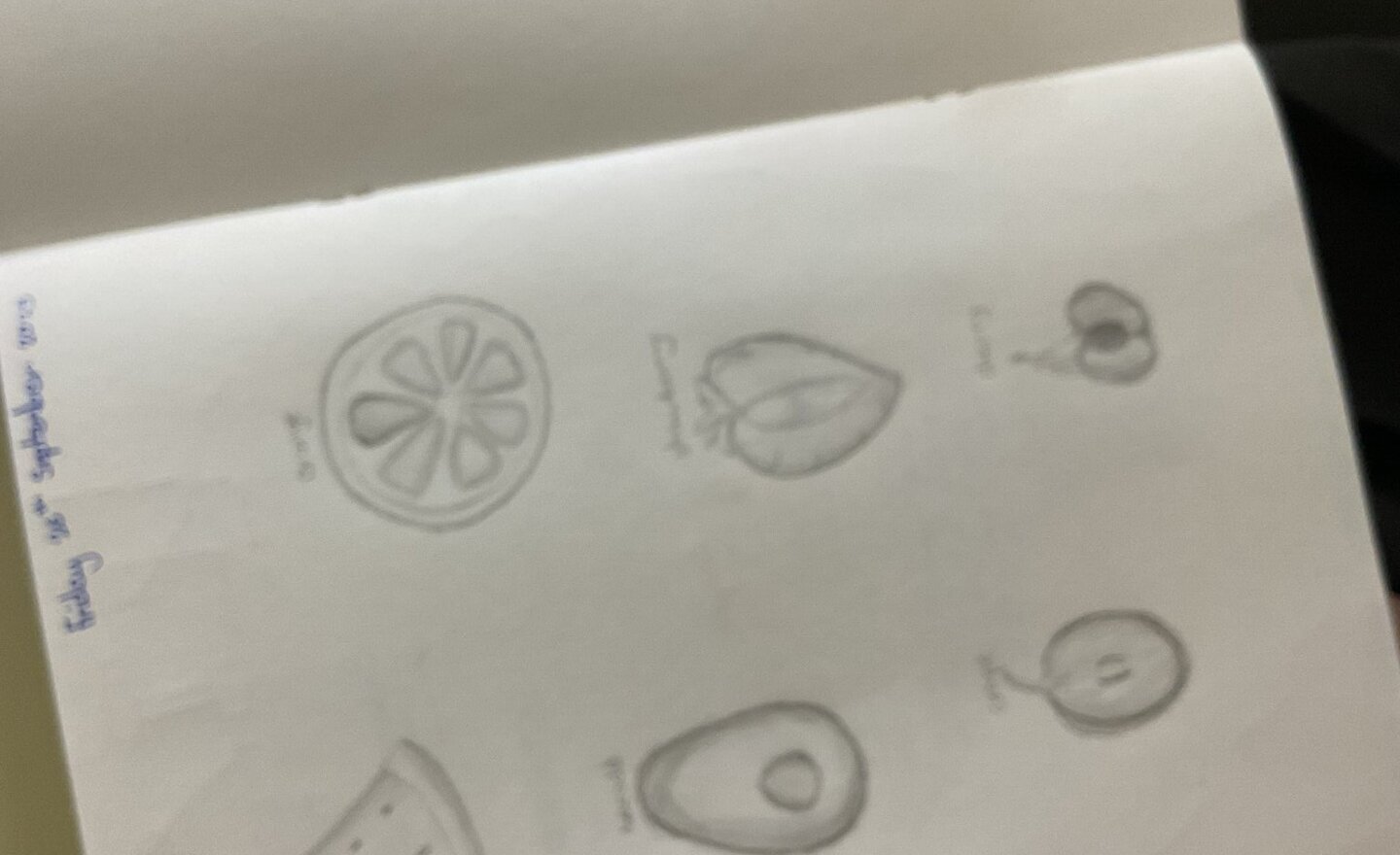 Image of Year 6 Sketching Unit