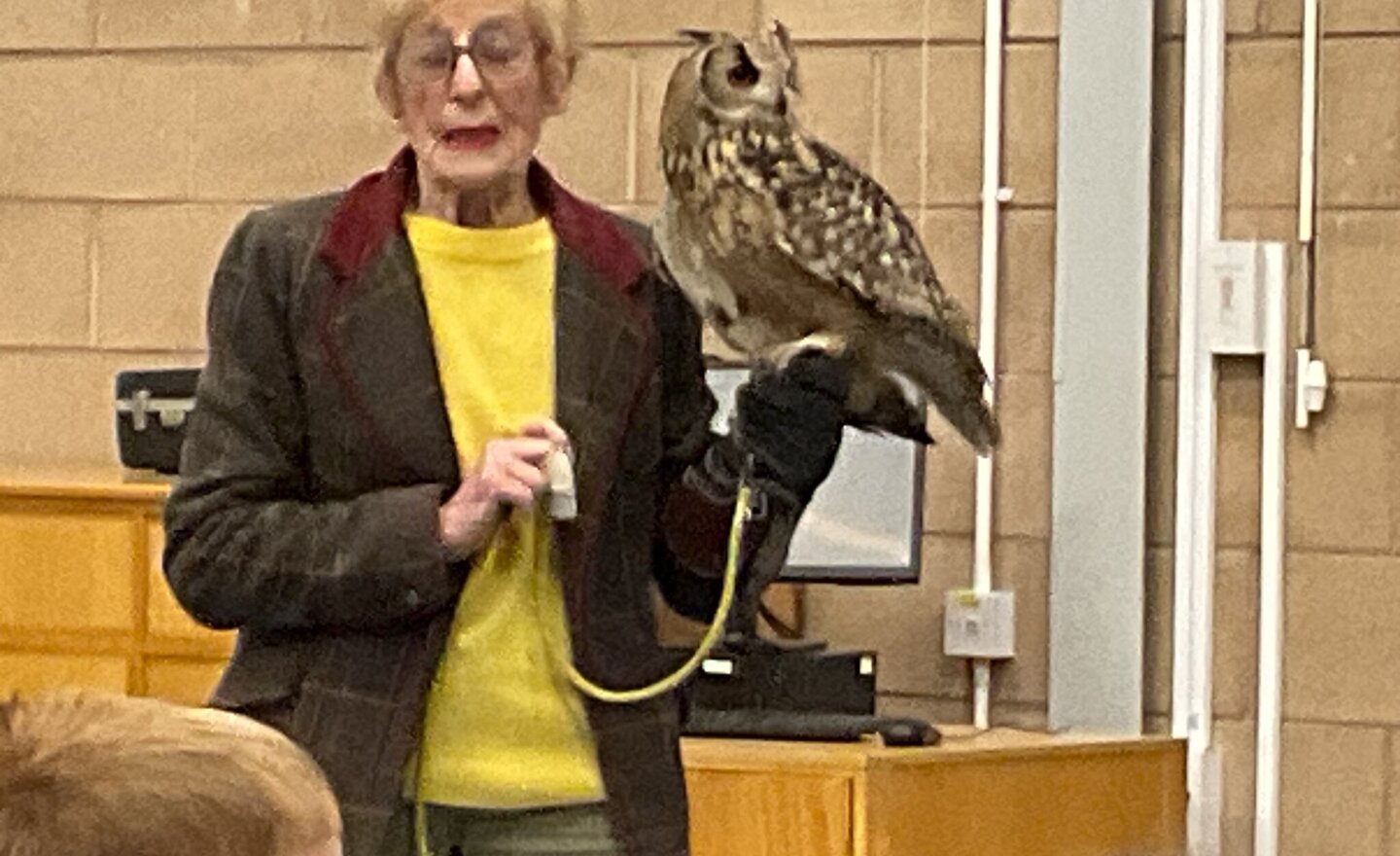 Image of Y2 Owl visit