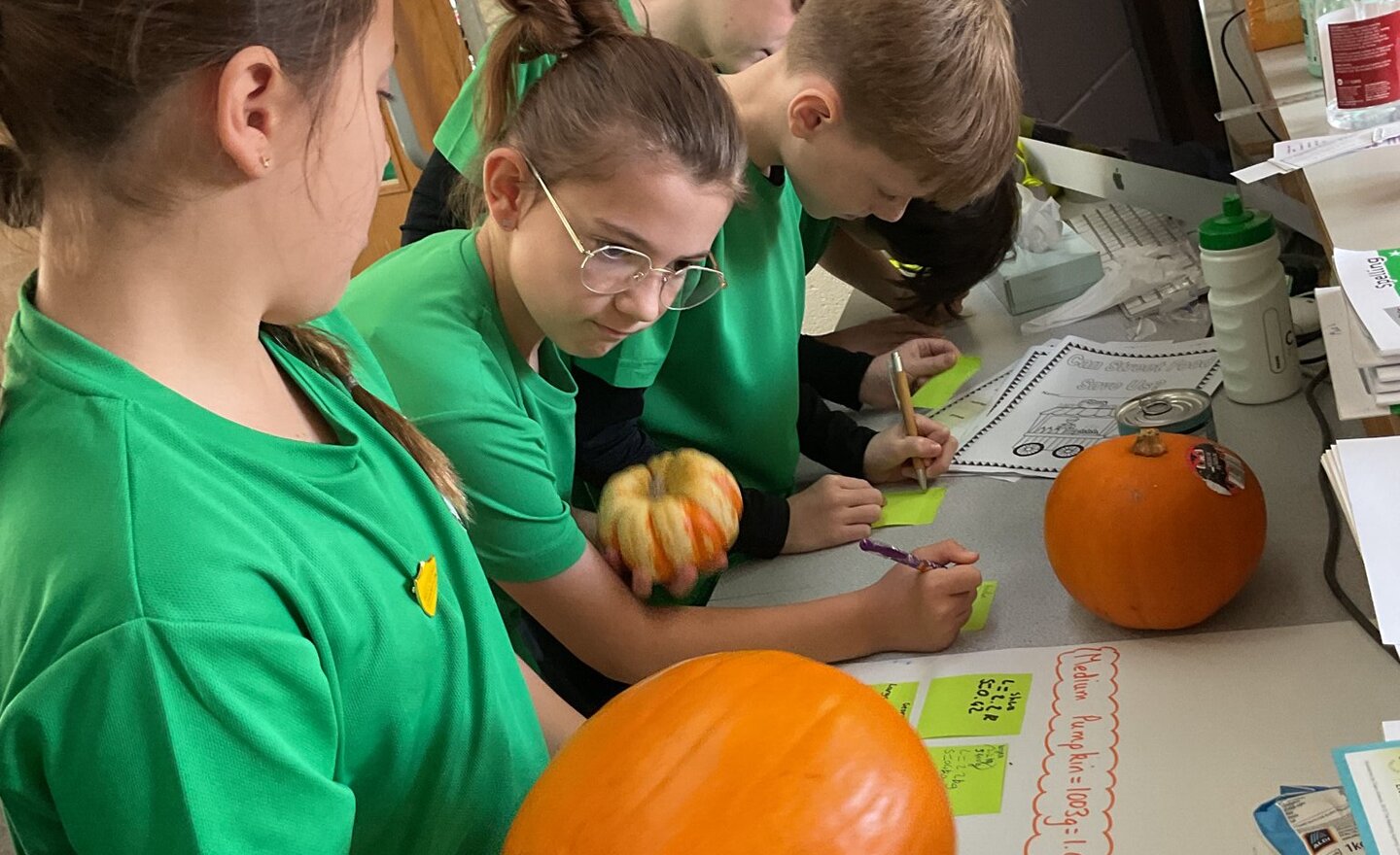 Image of Pumpkin Estimation Station