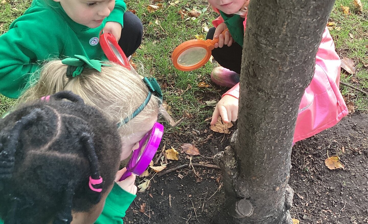 Image of Minibeasts