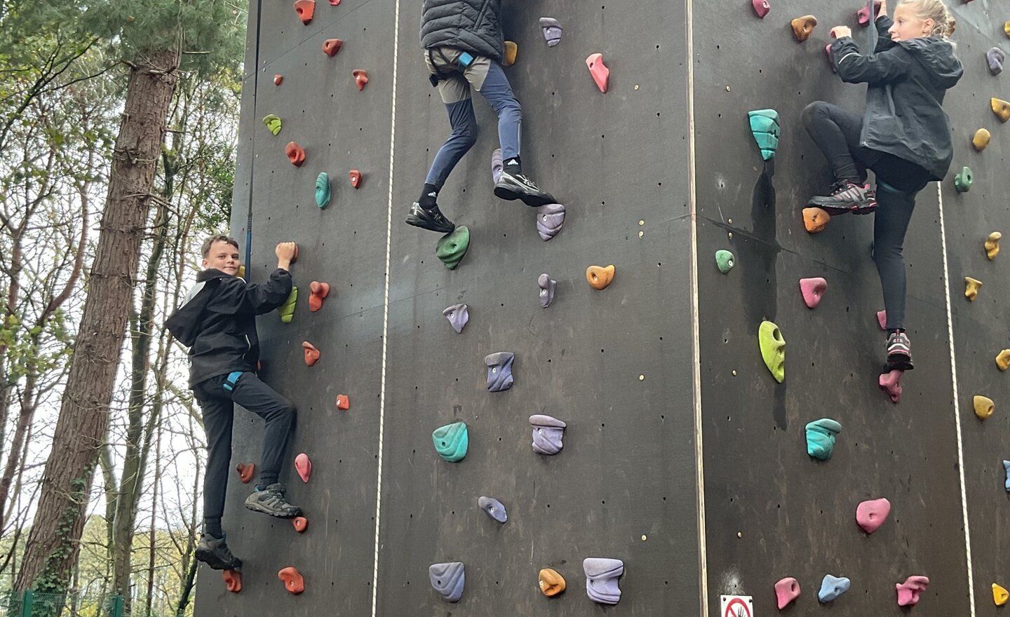 Image of Climbing wall