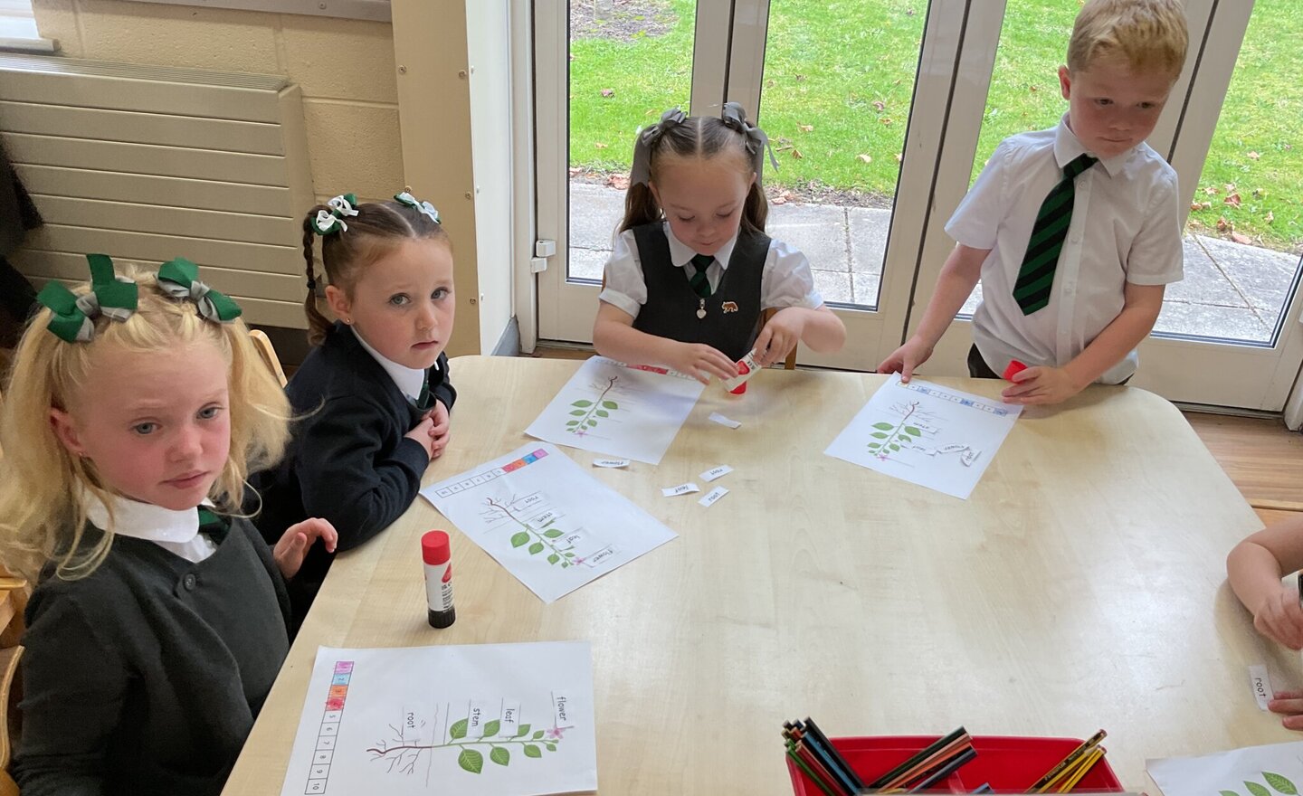 Image of Year 1 Science- What are the parts of a plant?