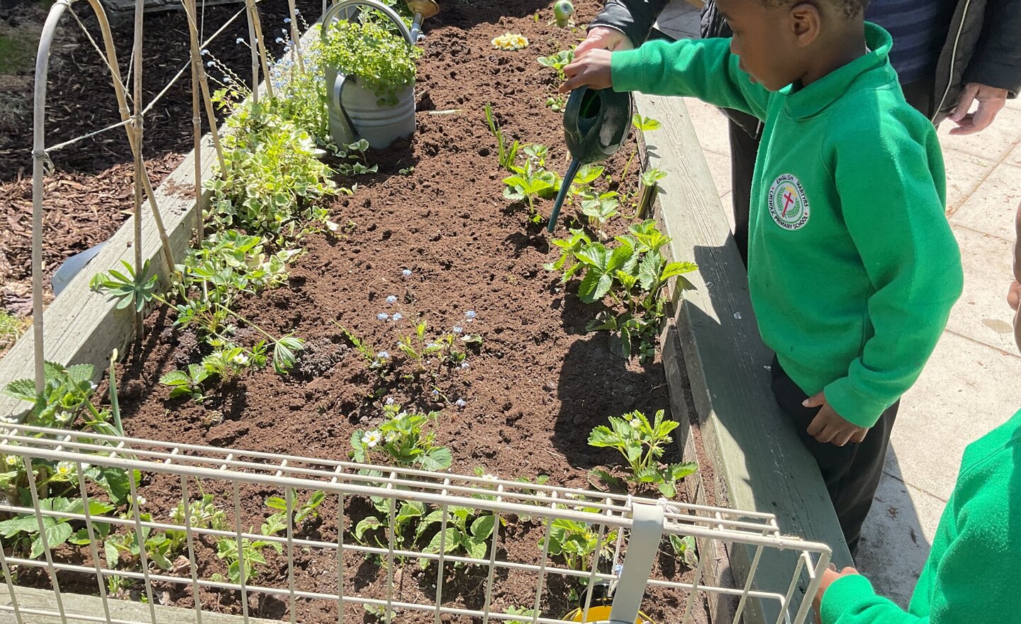 Image of Practising our Planting in Nursery