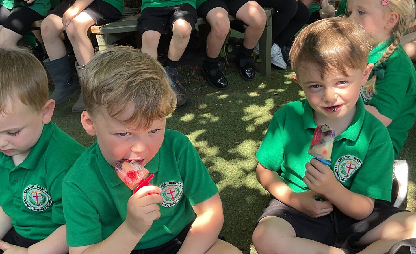 Image of Fruit lollies