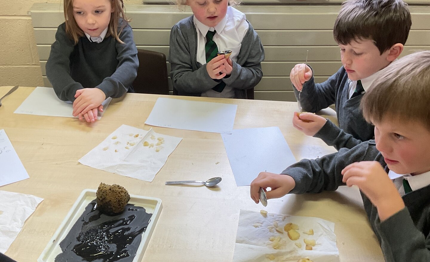 Image of Y2 Art & Design