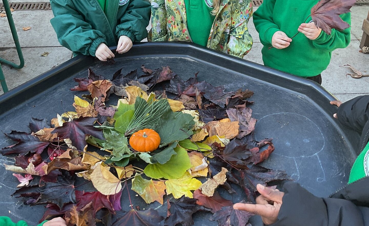 Image of Andy Goldsworthy Inspired Natural Art