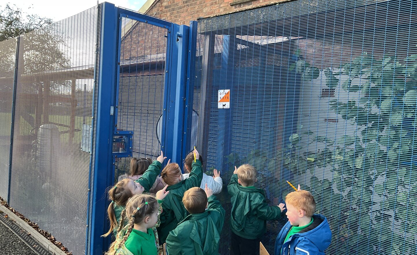Image of Nursery A Orienteering