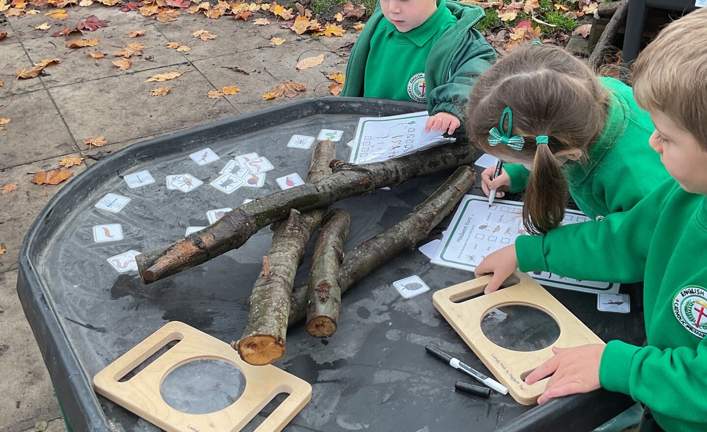 Image of Bugs, bugs, bugs