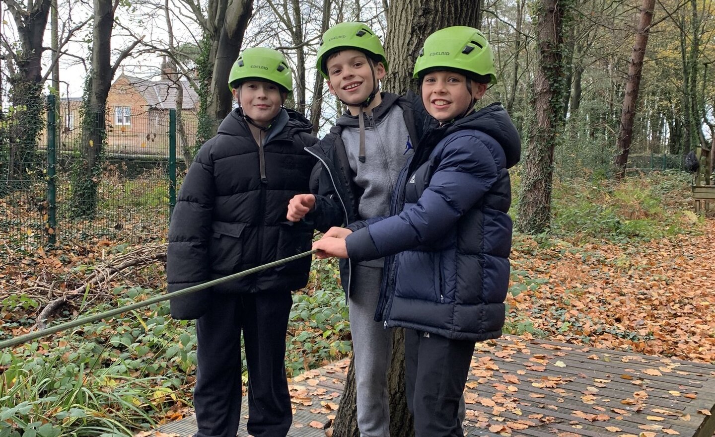 Image of Low ropes
