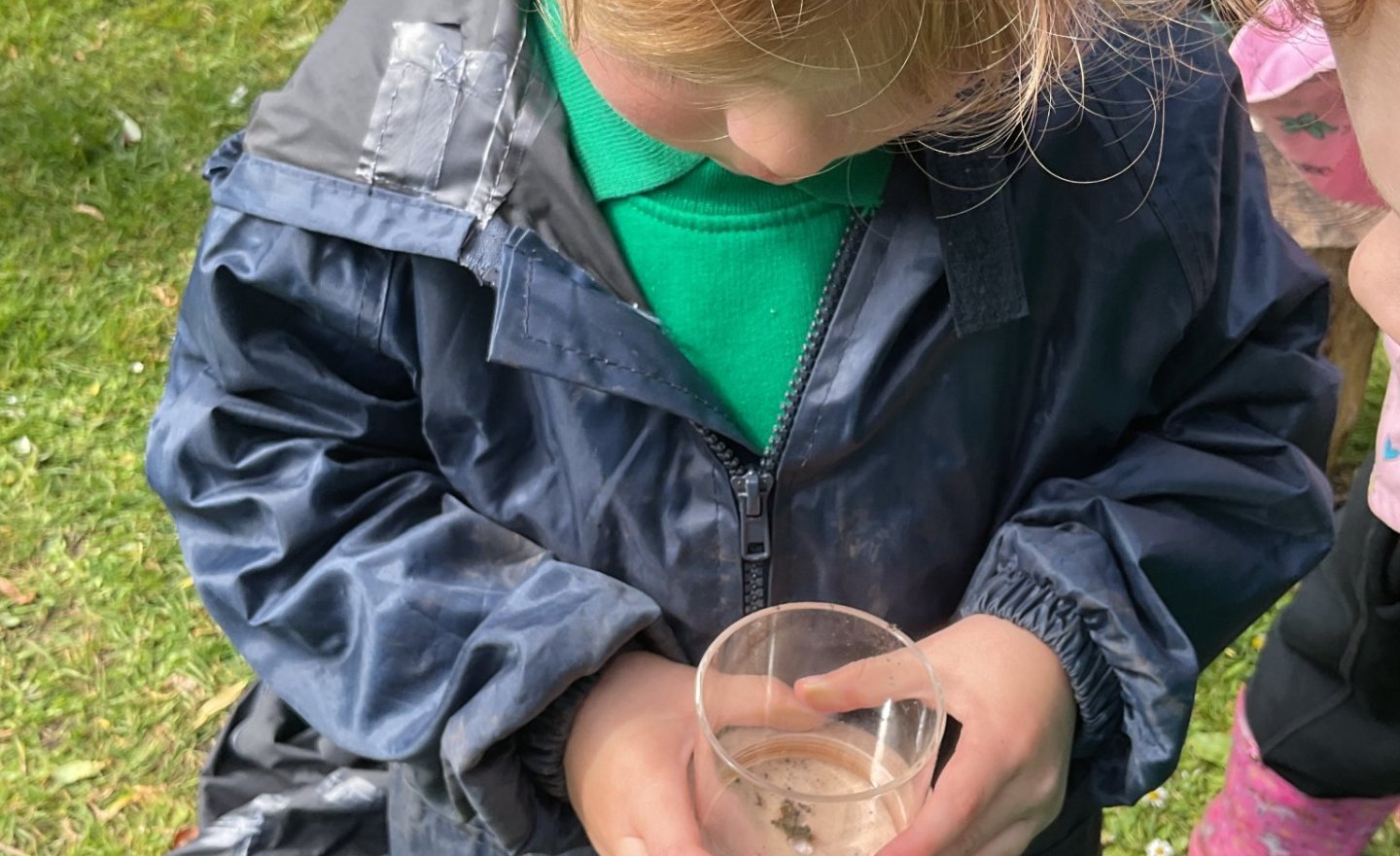 Image of Bug Hunts in Nursery