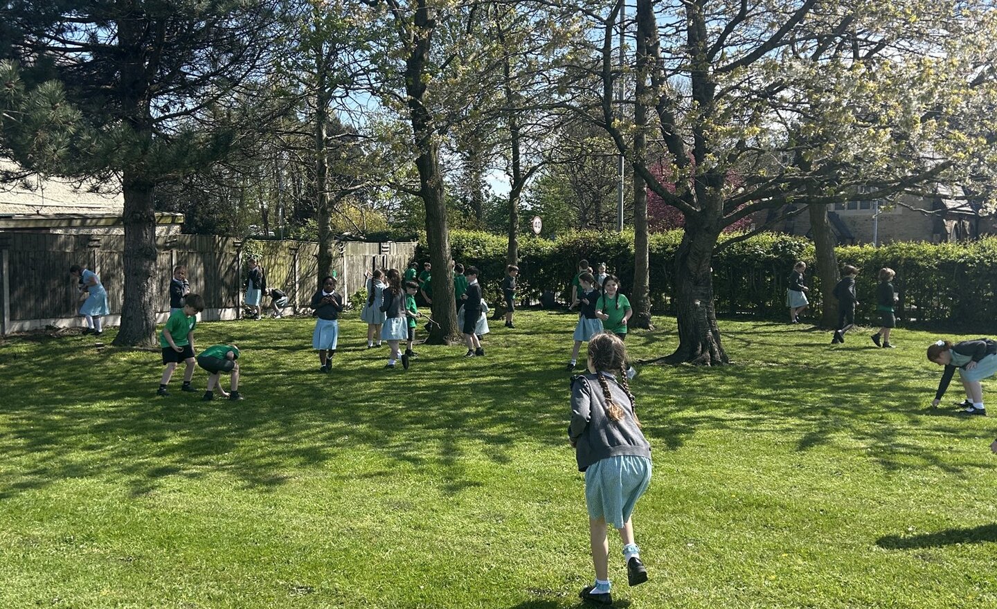 Image of Collecting natural materials for art