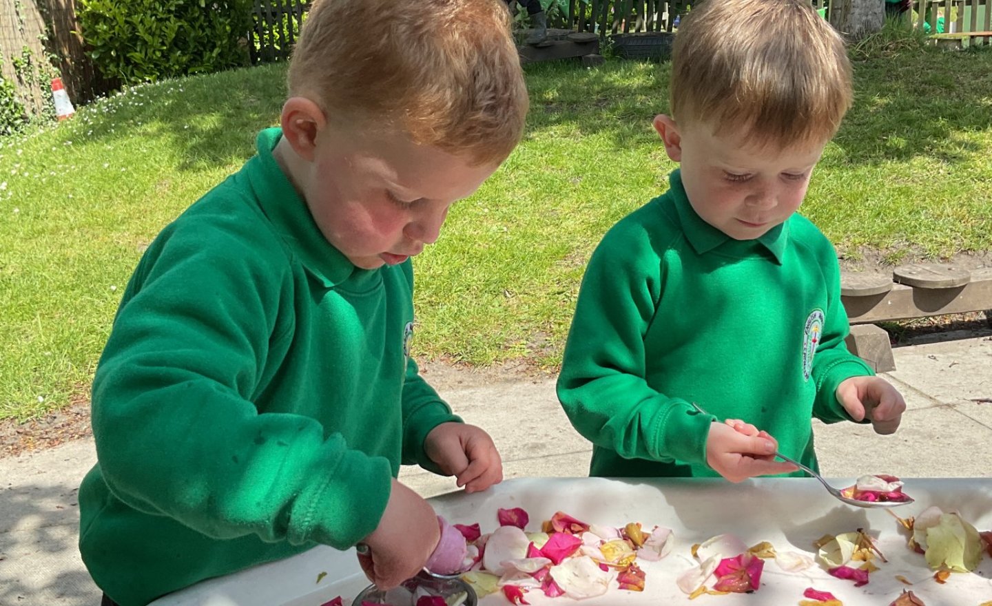 Image of Petal water play