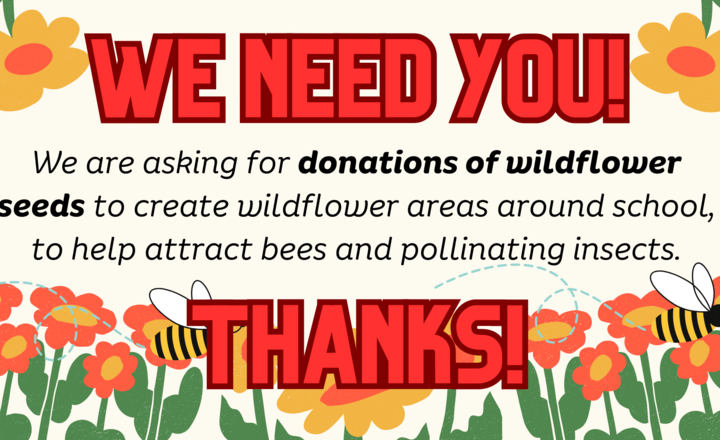 Image of We need wildflower seeds!