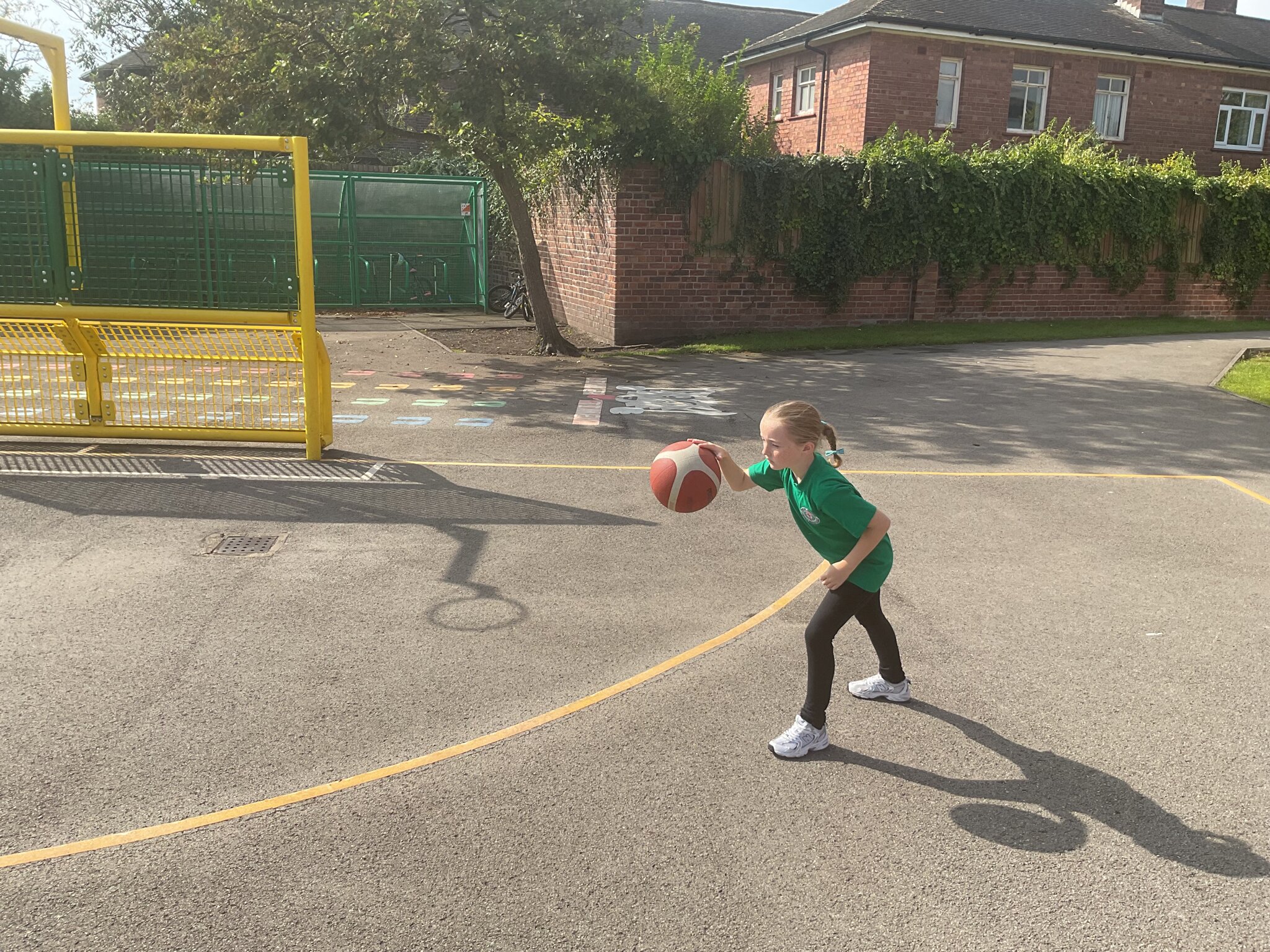 Image of Basketball in the sunshine