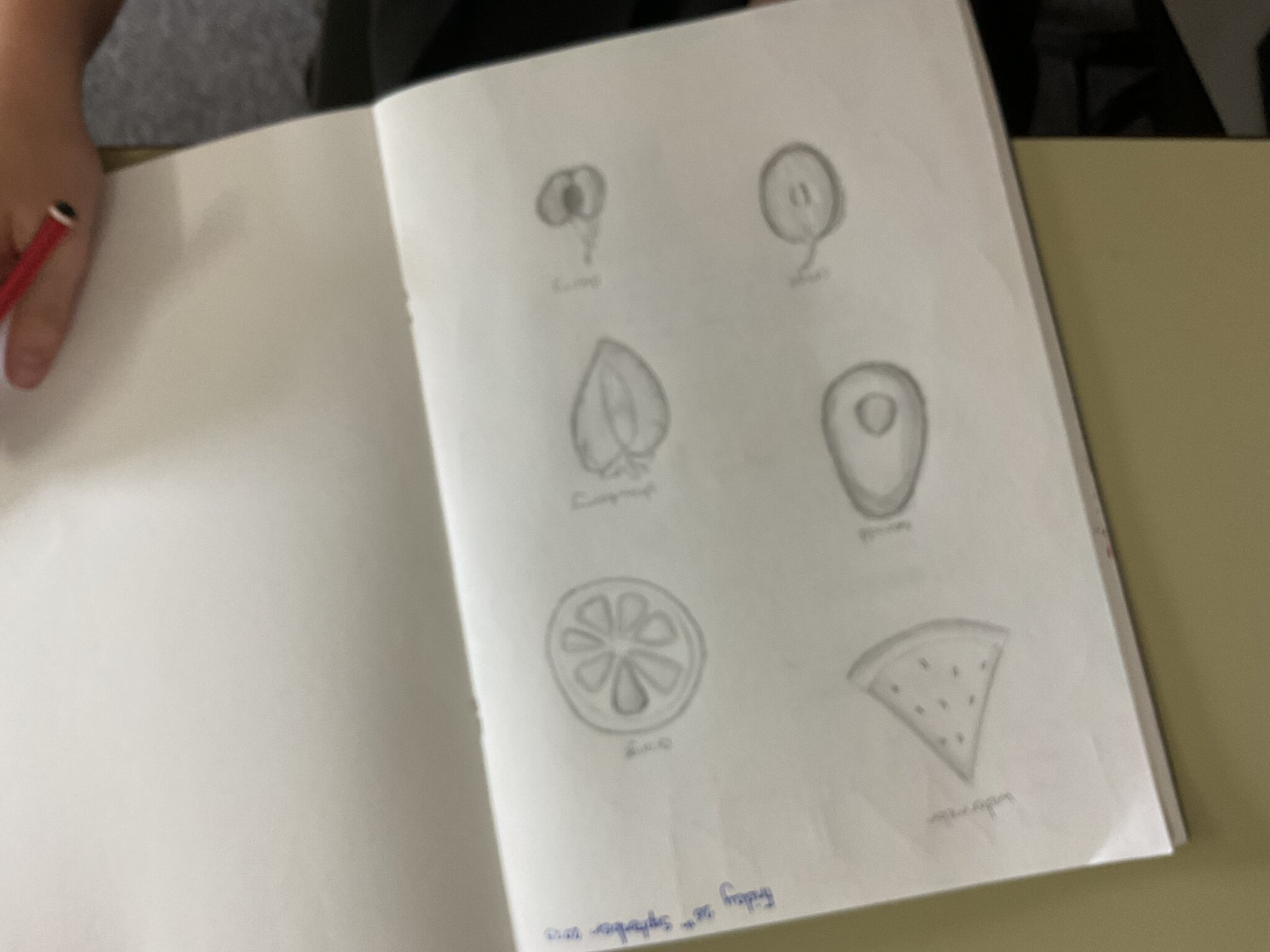 Image of Year 6 Sketching Unit