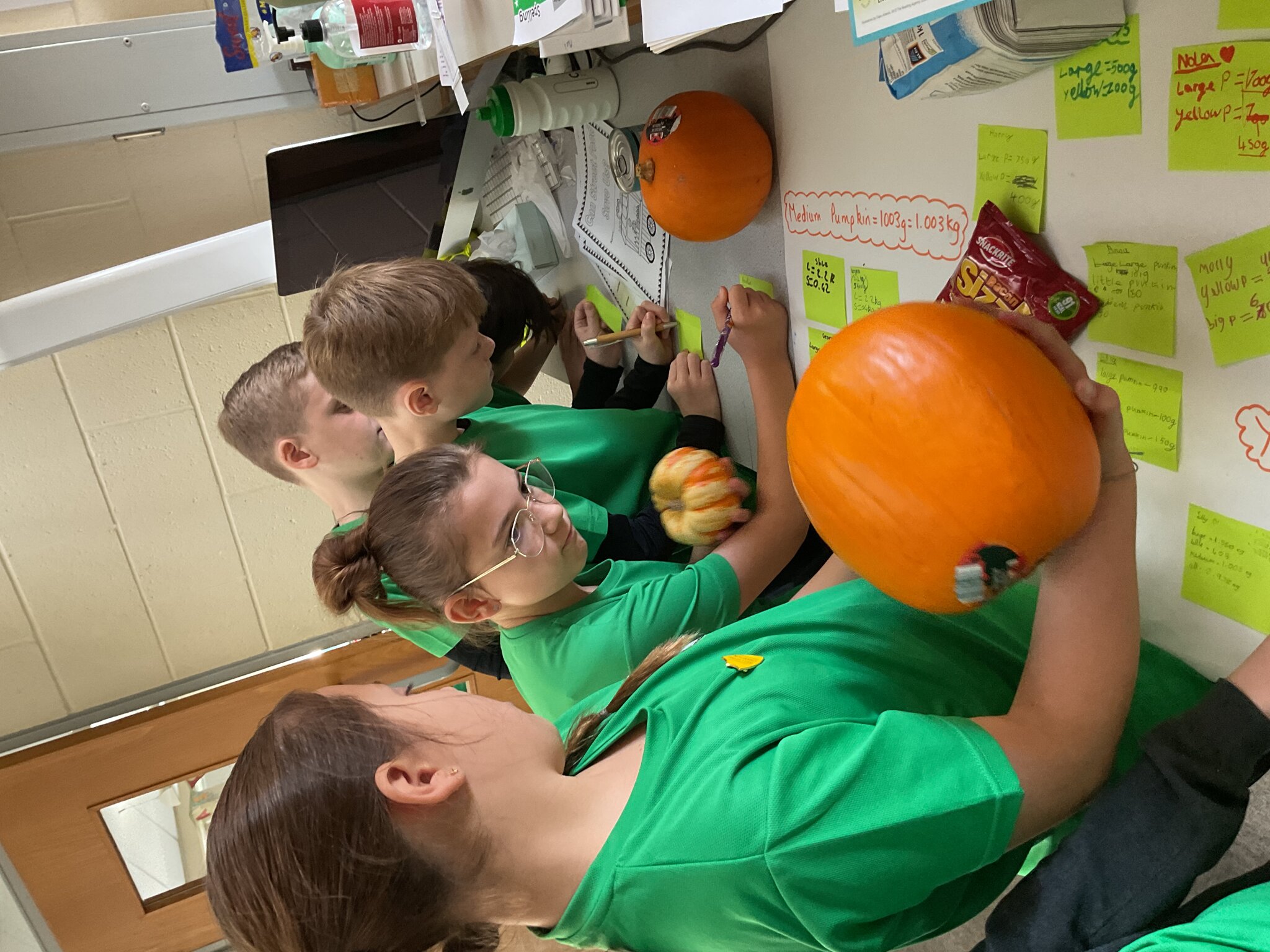 Image of Pumpkin Estimation Station