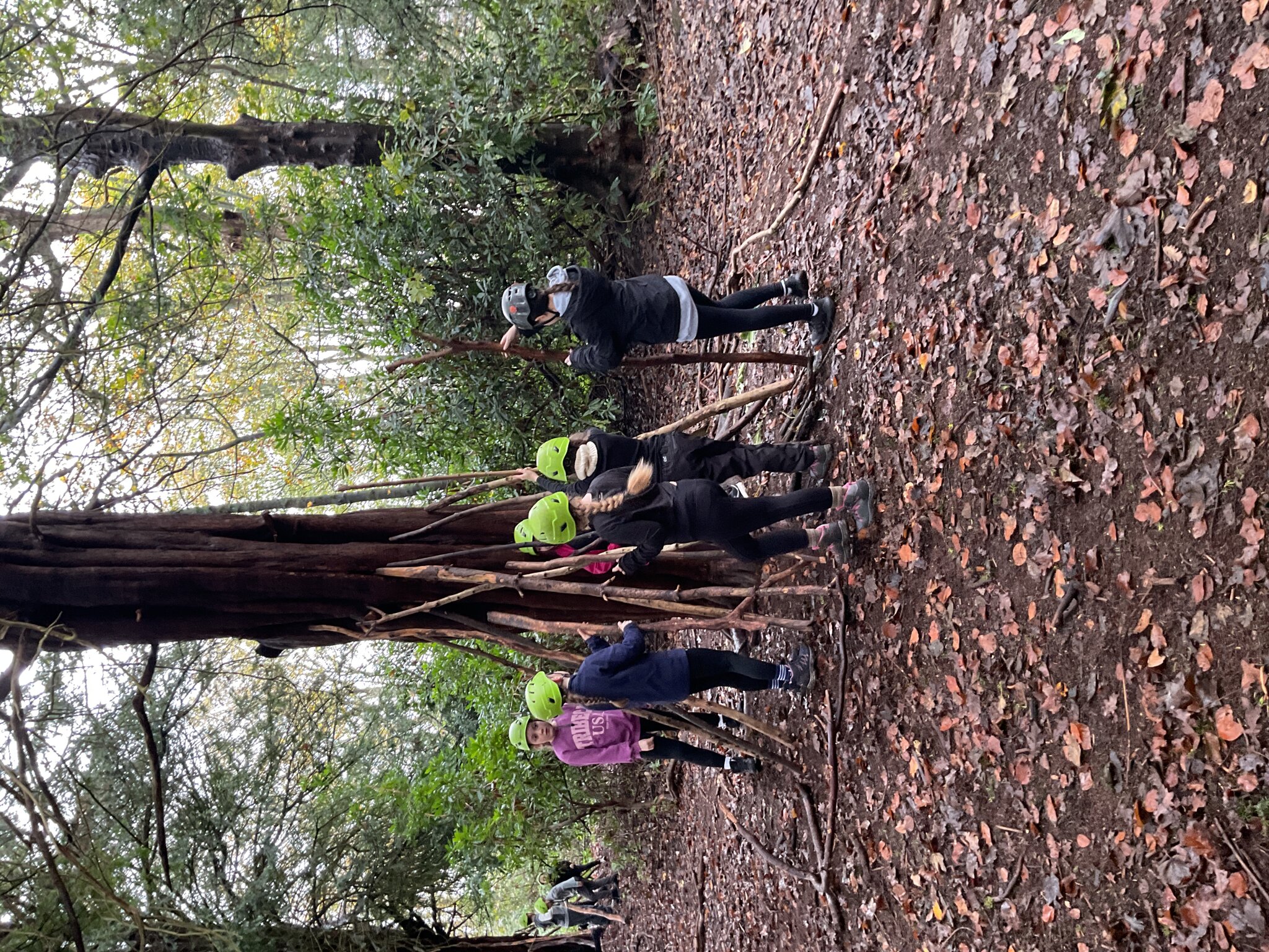 Image of Den building and bushcraft