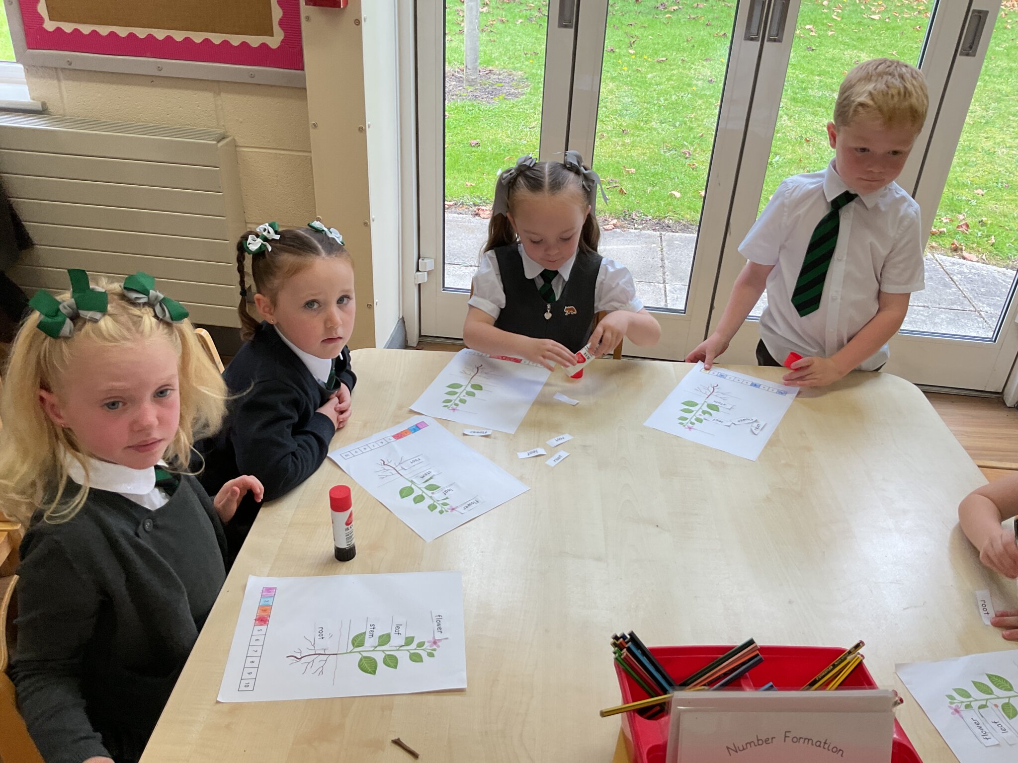Image of Year 1 Science- What are the parts of a plant?