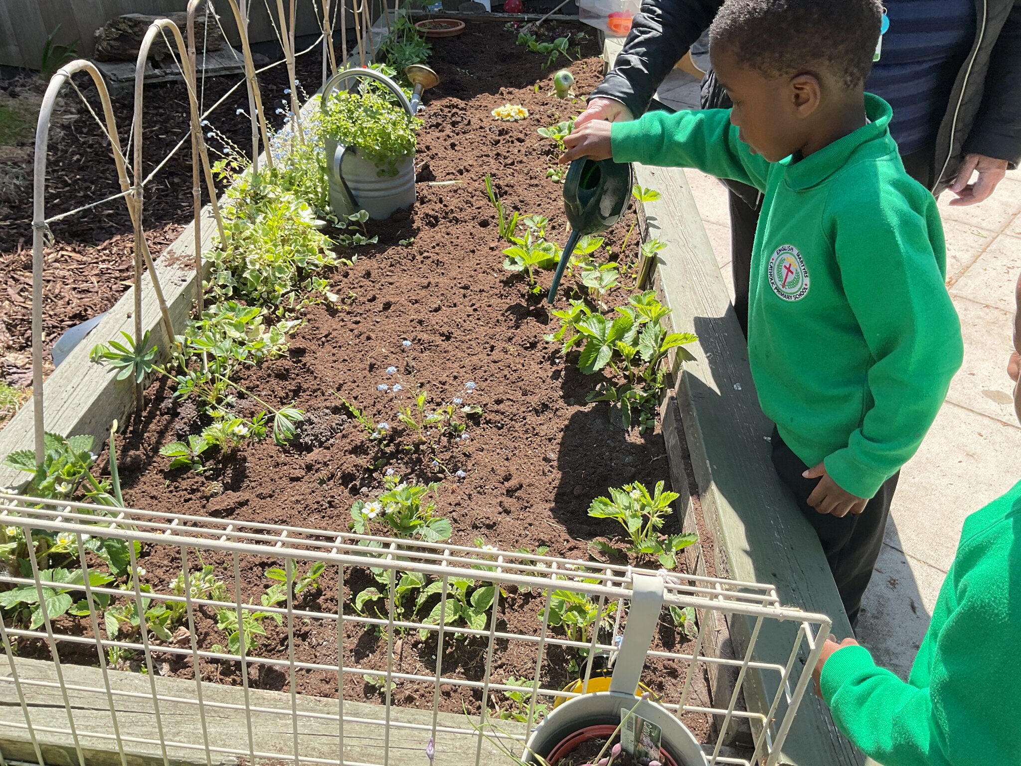 Image of Practising our Planting in Nursery