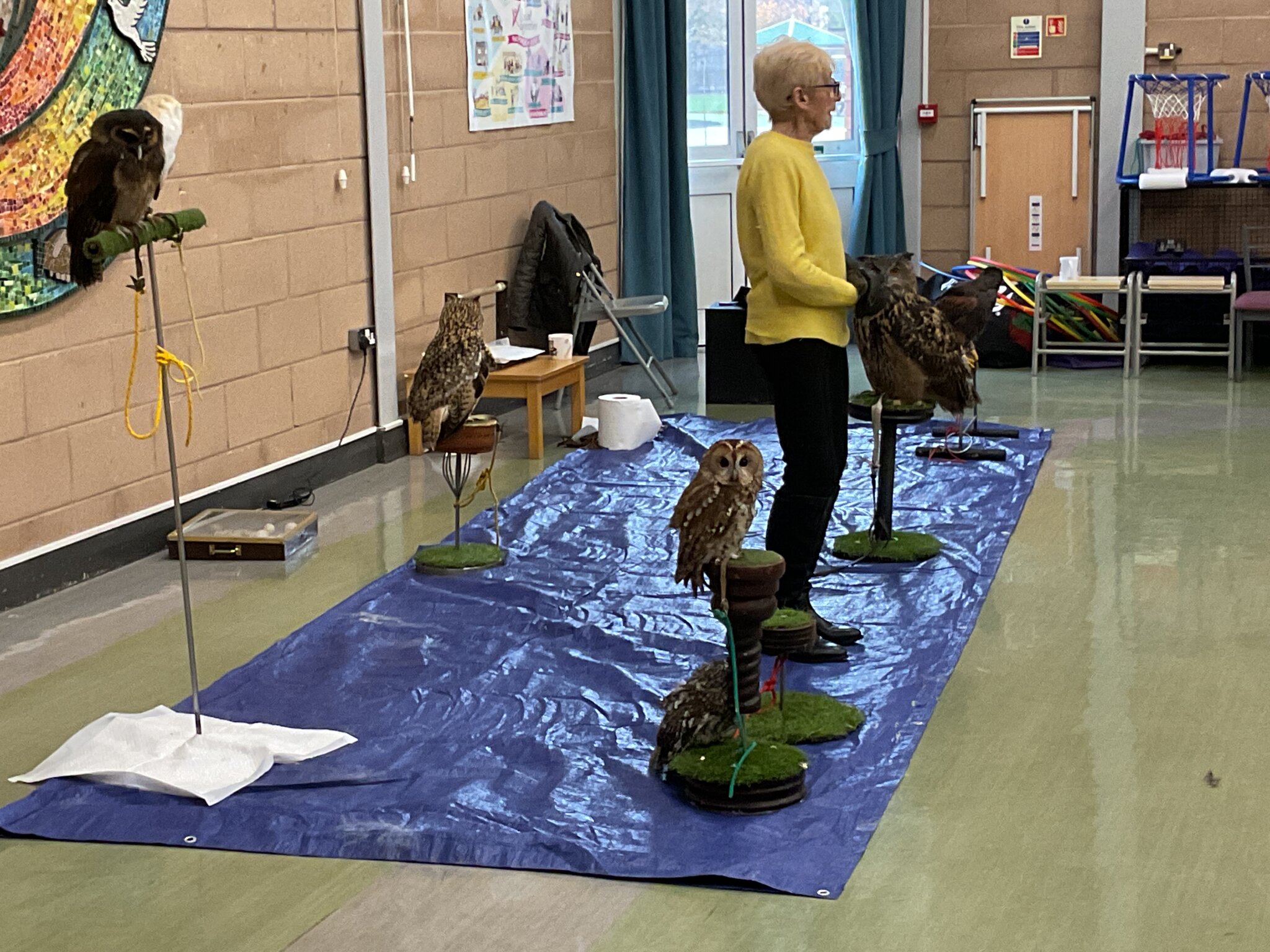Image of Year 2 Lancashire Hawks and Owls