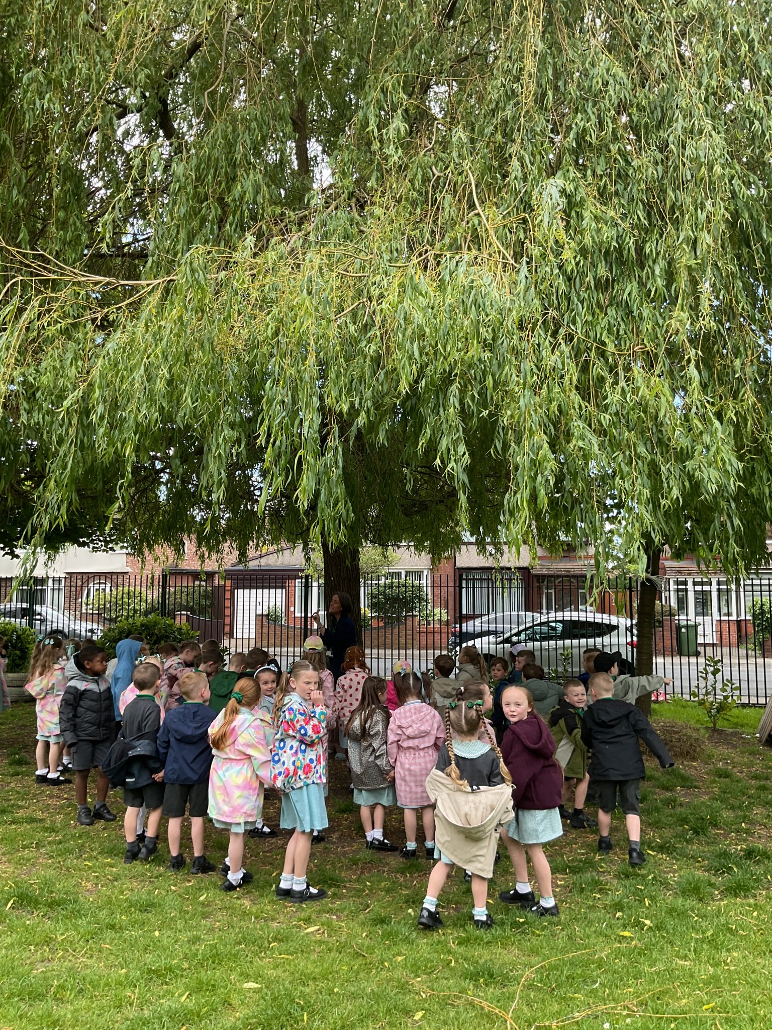 Image of Year 1- Science-Plants 