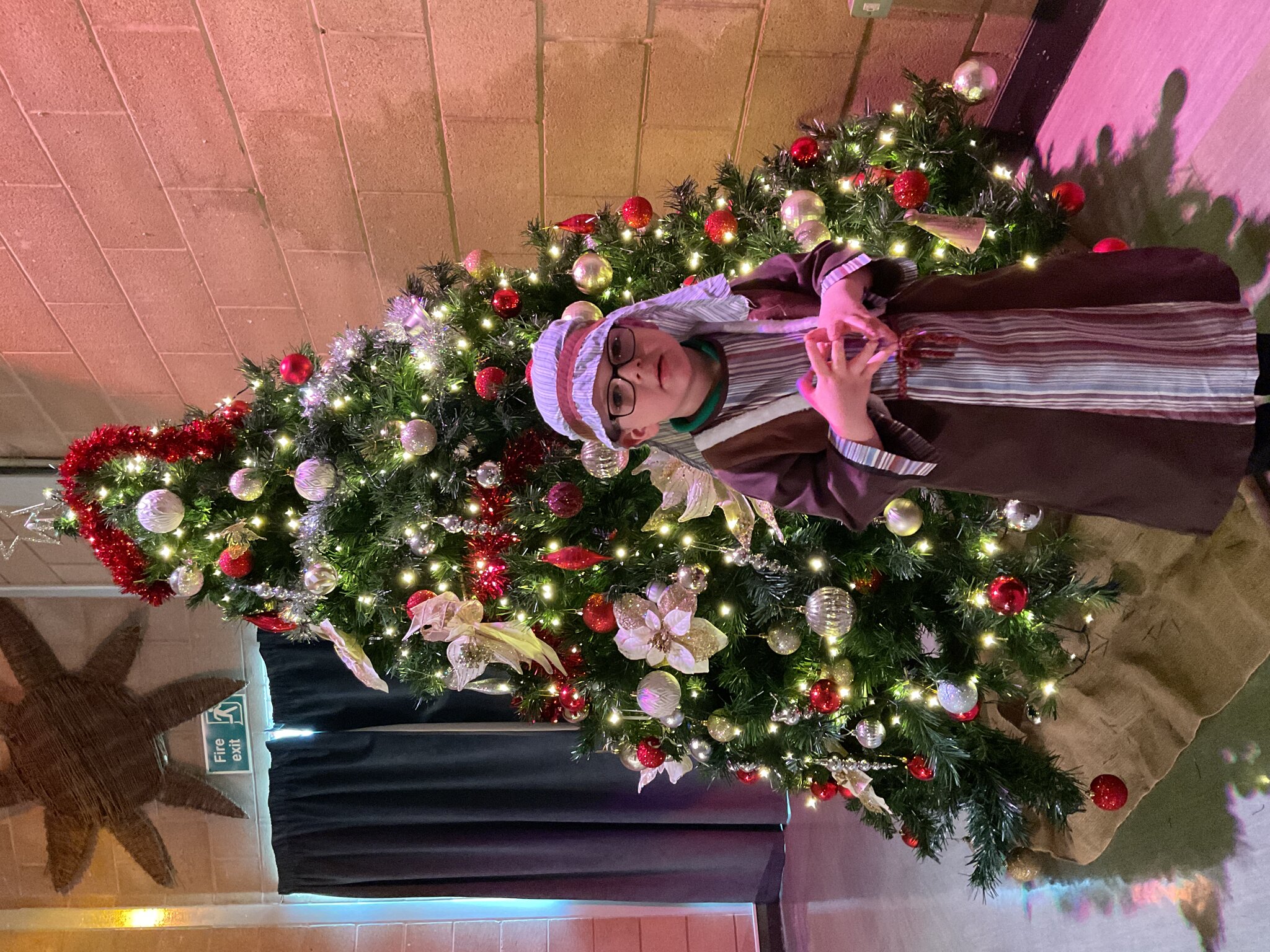 Image of Reception Nativity