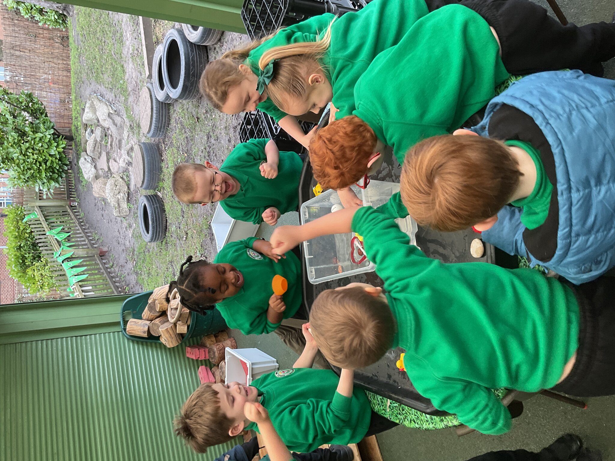 Image of Floating and Sinking Investigations